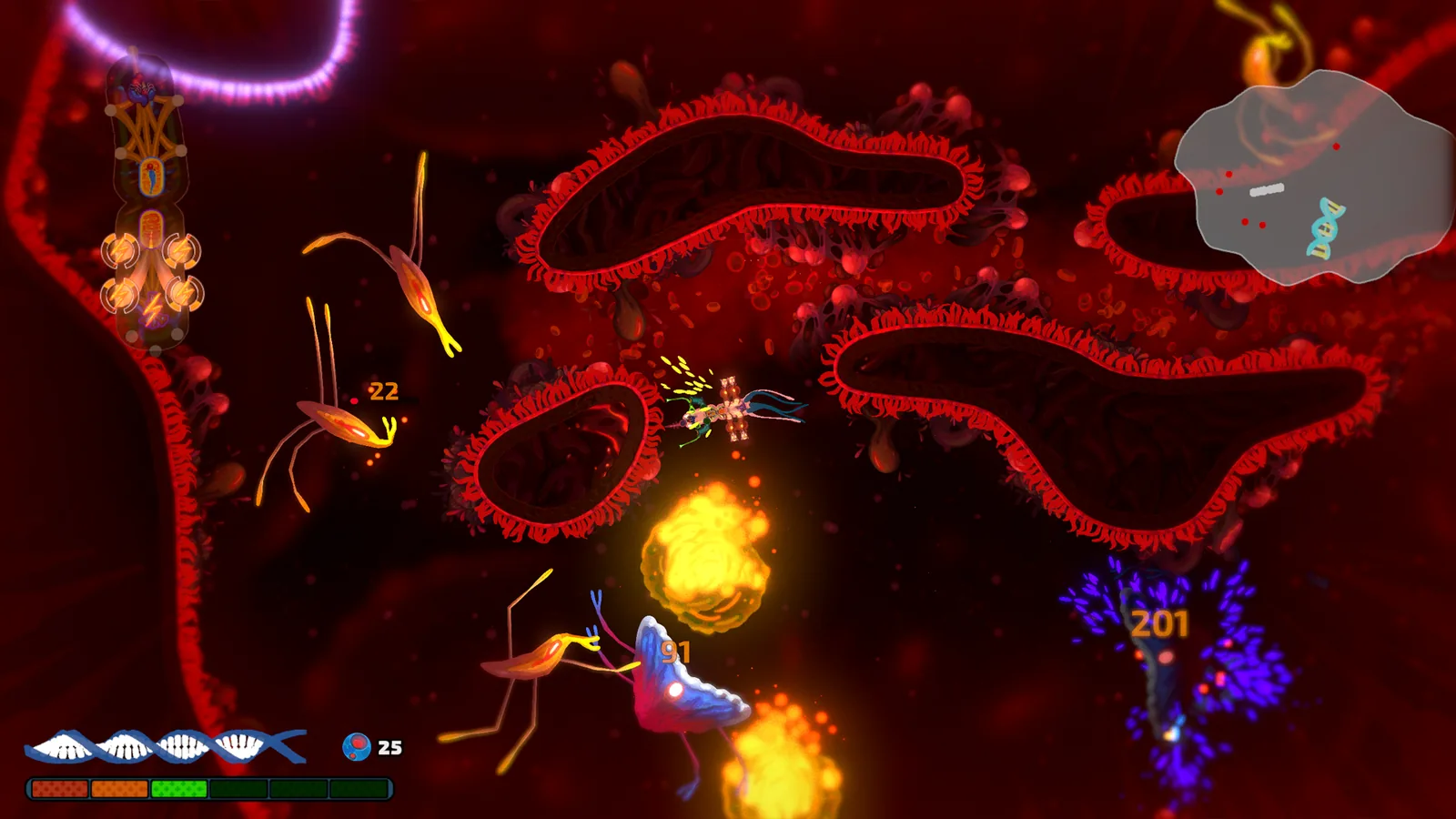 A Pathogenic organ region with its environment, immune cells, and the pathogen in combat