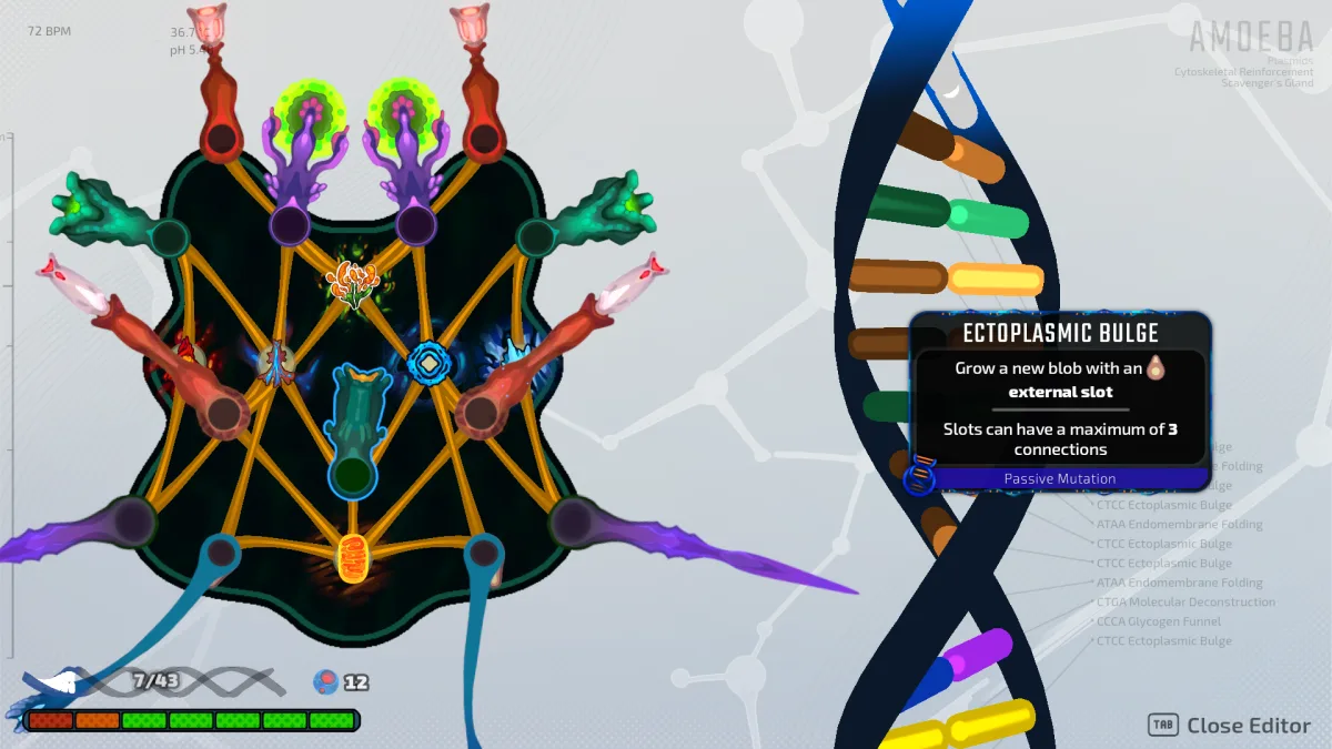 Amoeba in the Pathogenic editor as a broad irregular body with many connected Organelles