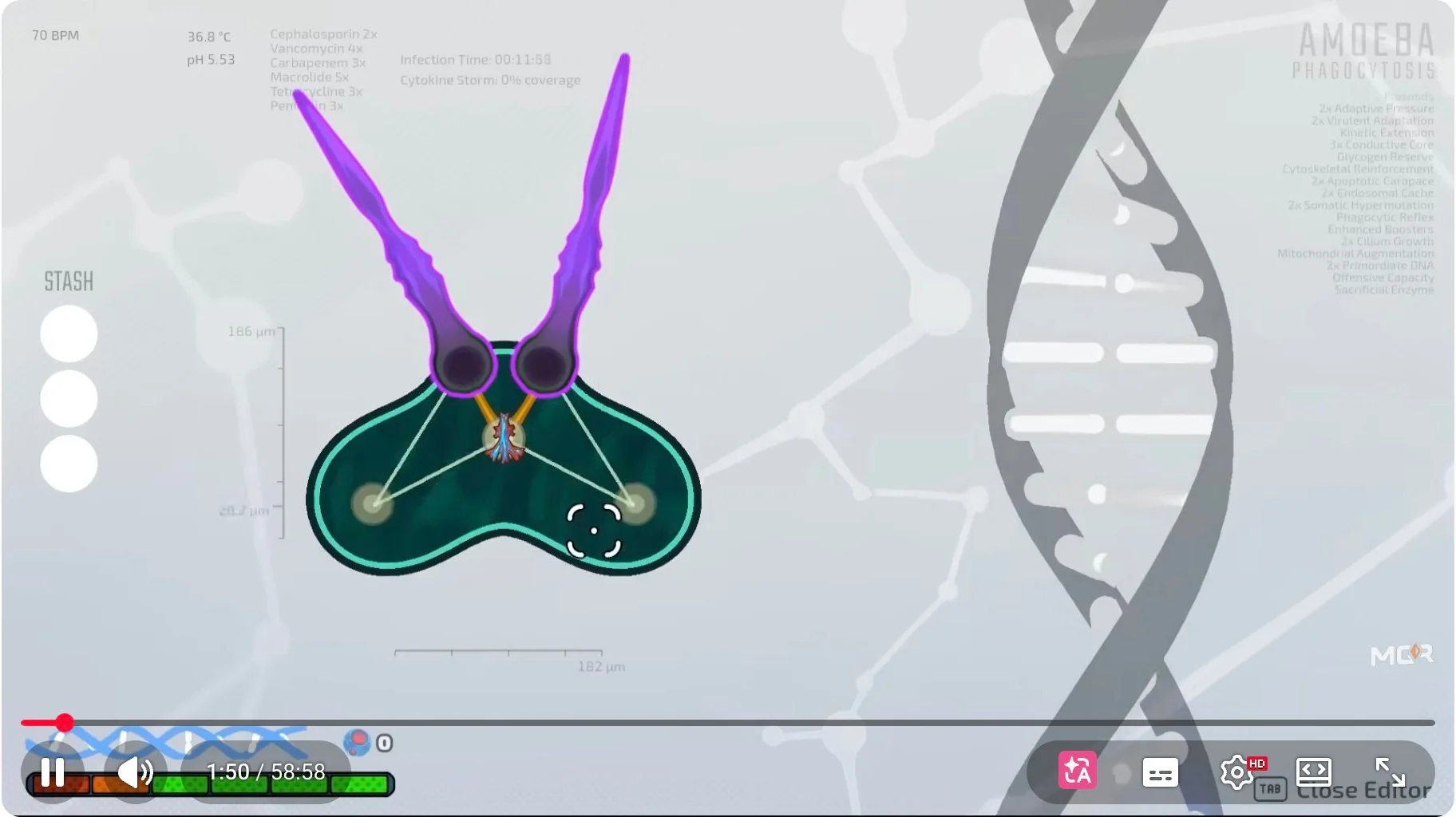 Pathogenic editor screen showing a connected Amoeba loadout with visible arrows between organelles