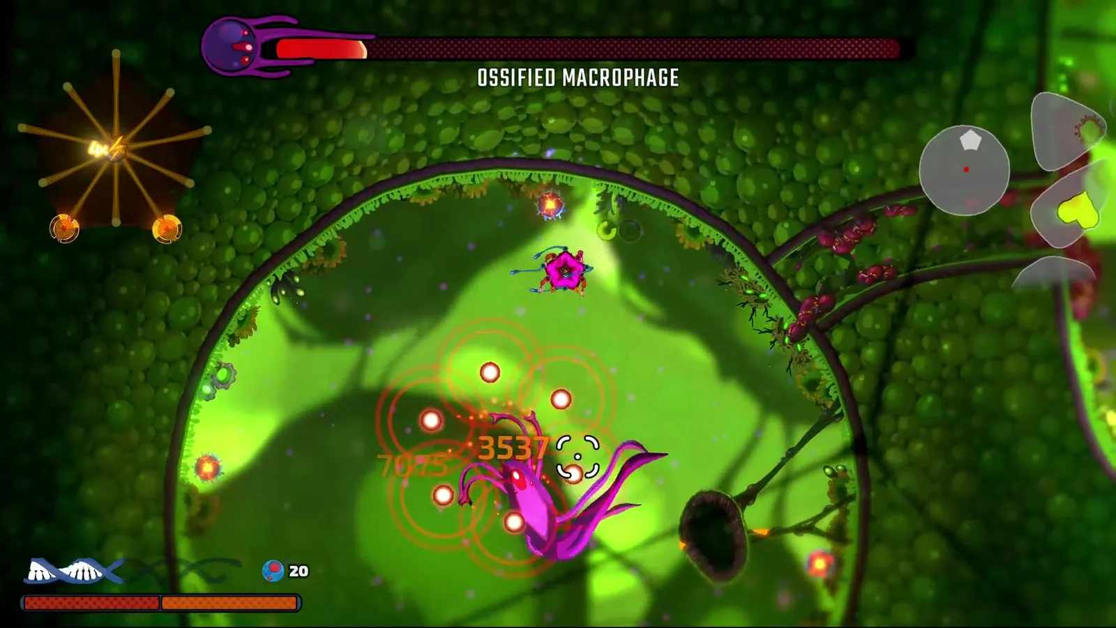 Pathogenic combat against the Ossified Macrophage with repeated orange damage numbers and a visible 3537 during a player-labeled burn encounter