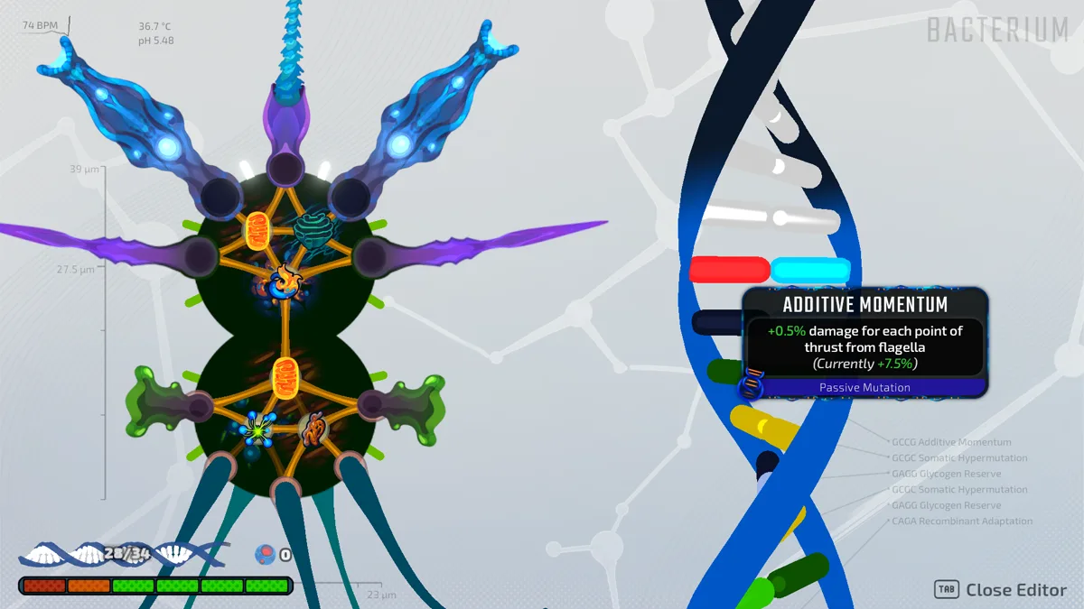 Pathogenic editor showing orange Mitochondria connected to other Organelles